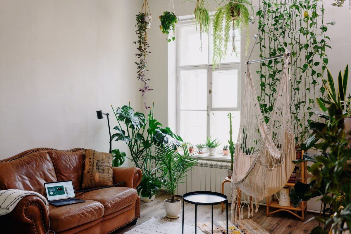 10 beneficios de tener plantas en casa | Fotocasa Life
