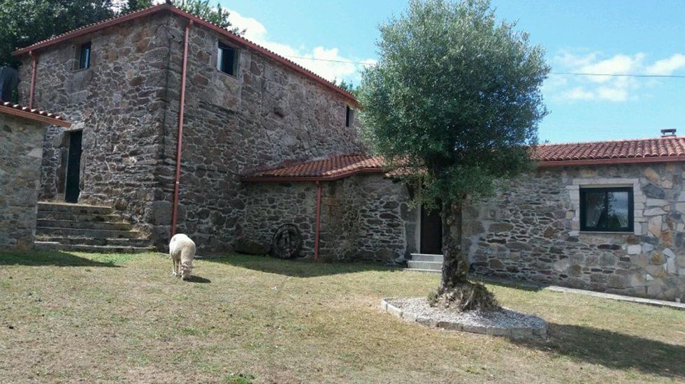 Casas baratas en plena naturaleza – Fotocasa Life