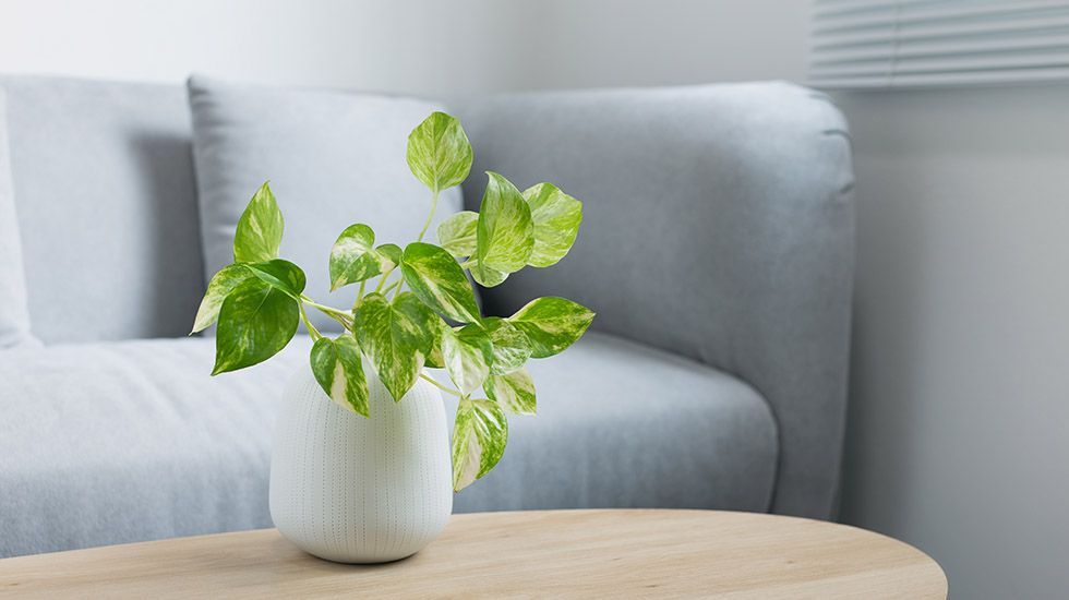 El primer edificio antipandemia de España