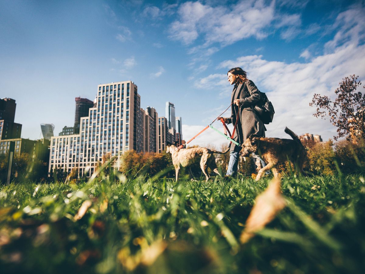 como seran las ciudades sostenibles
