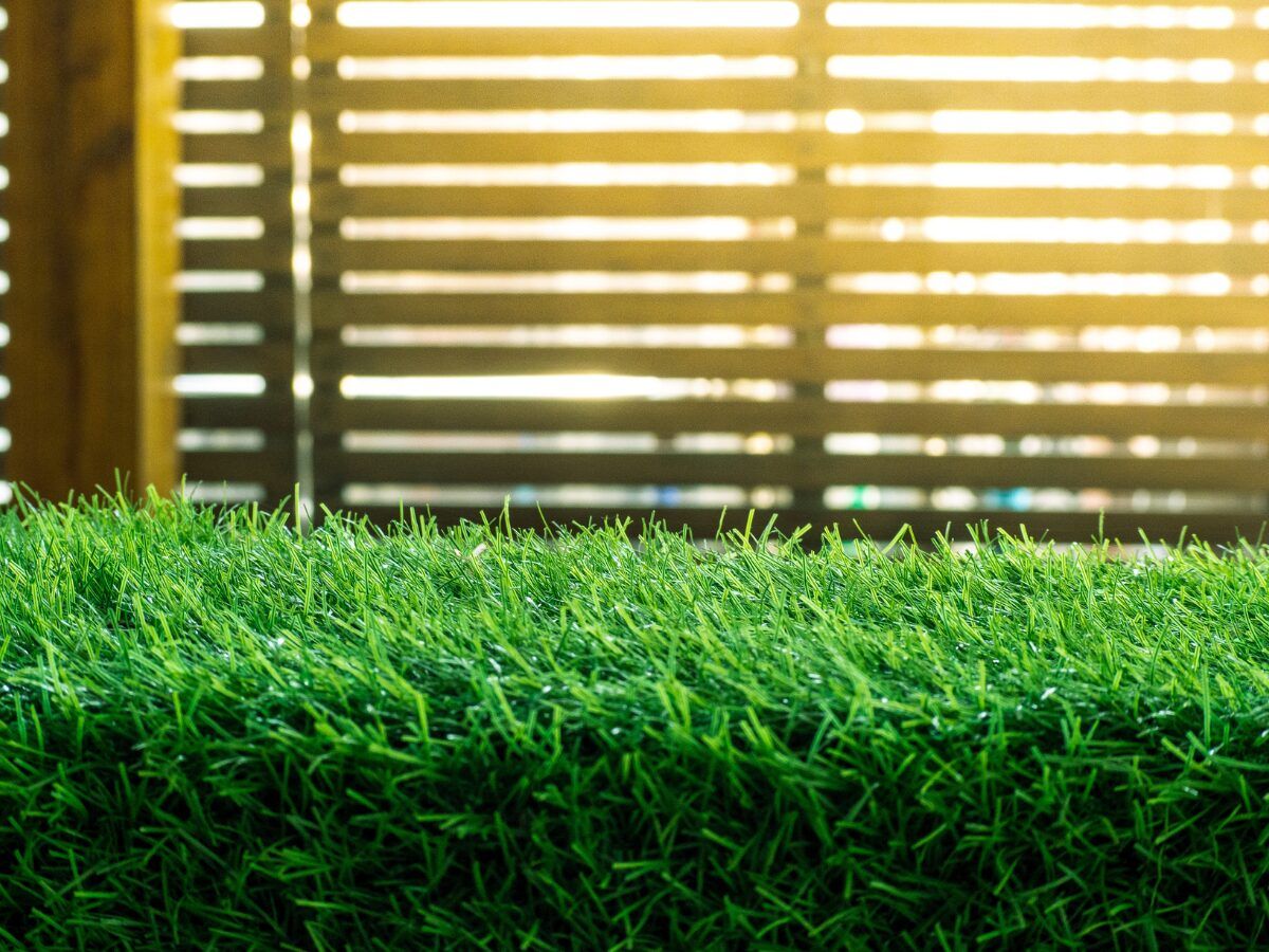 Huella pasto camellos