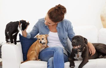 6 de cada 10 propietarios de viviendas aceptaría inquilinos con perros o gatos, pero sólo un 4% lo publica en el anuncio