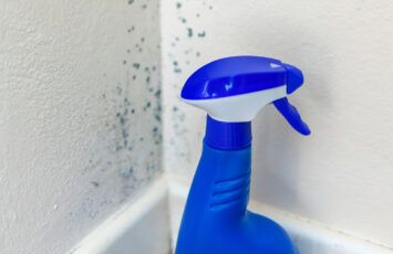 Cómo limpiar el moho en casa de forma segura y evitar que vuelva a salir