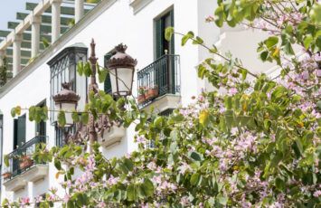 Casitas blancas y calles de piedra en este bonito pueblo rural de Sevilla