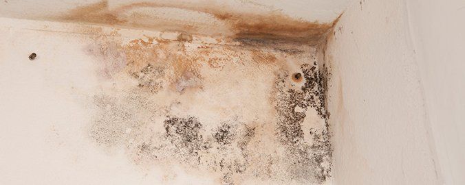 Aprende a evitar  la humedad en casa