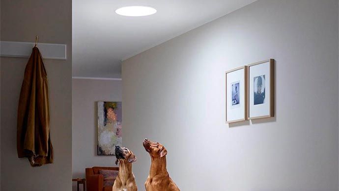 ¡Qué suerte! Luz por un tubo…