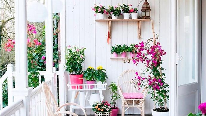 Los beneficios de tener plantas en casa