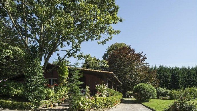 Viviendas curiosas: una cabaña en plena naturaleza