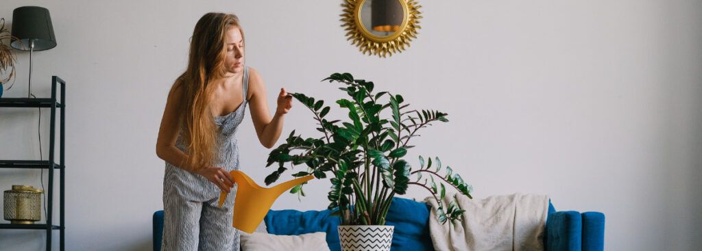 8 estudios en grandes ciudades para vivir en solitario