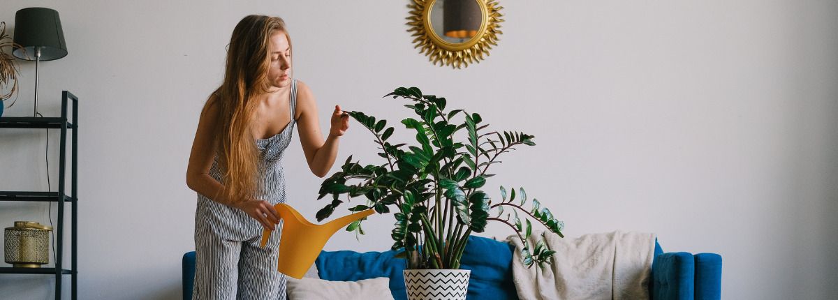 8 estudios en grandes ciudades para vivir en solitario