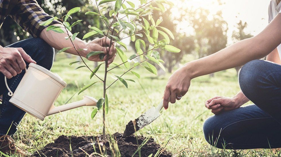 Viviendas con jardín en las que podrás plantar un árbol