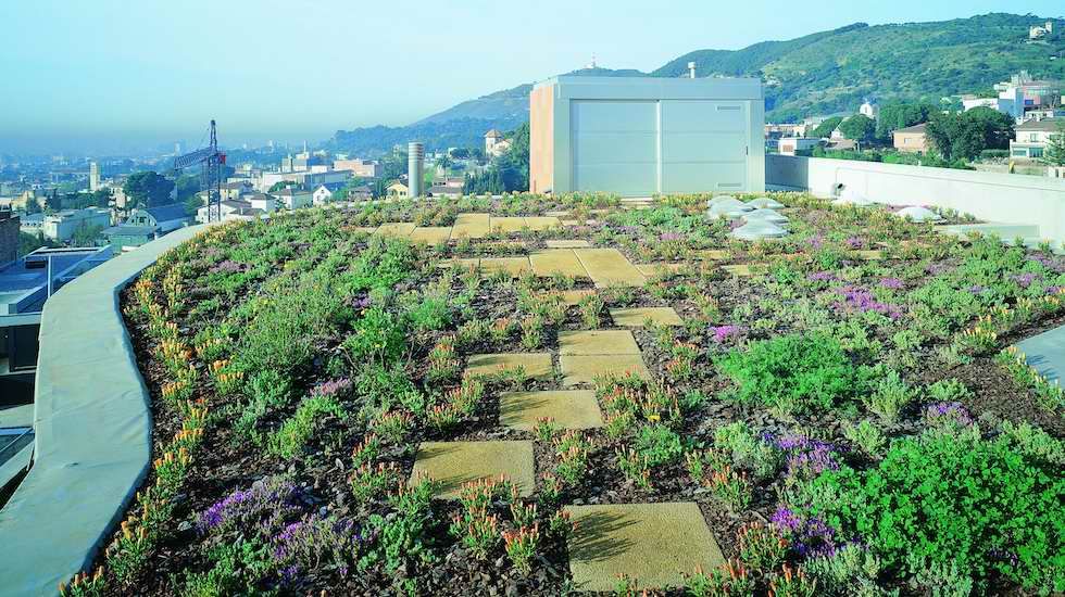 Cubiertas ajardinadas para oxigenar la contaminación