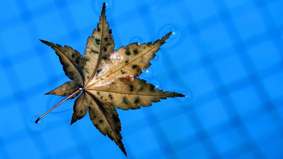Las piscinas no son solo para el verano