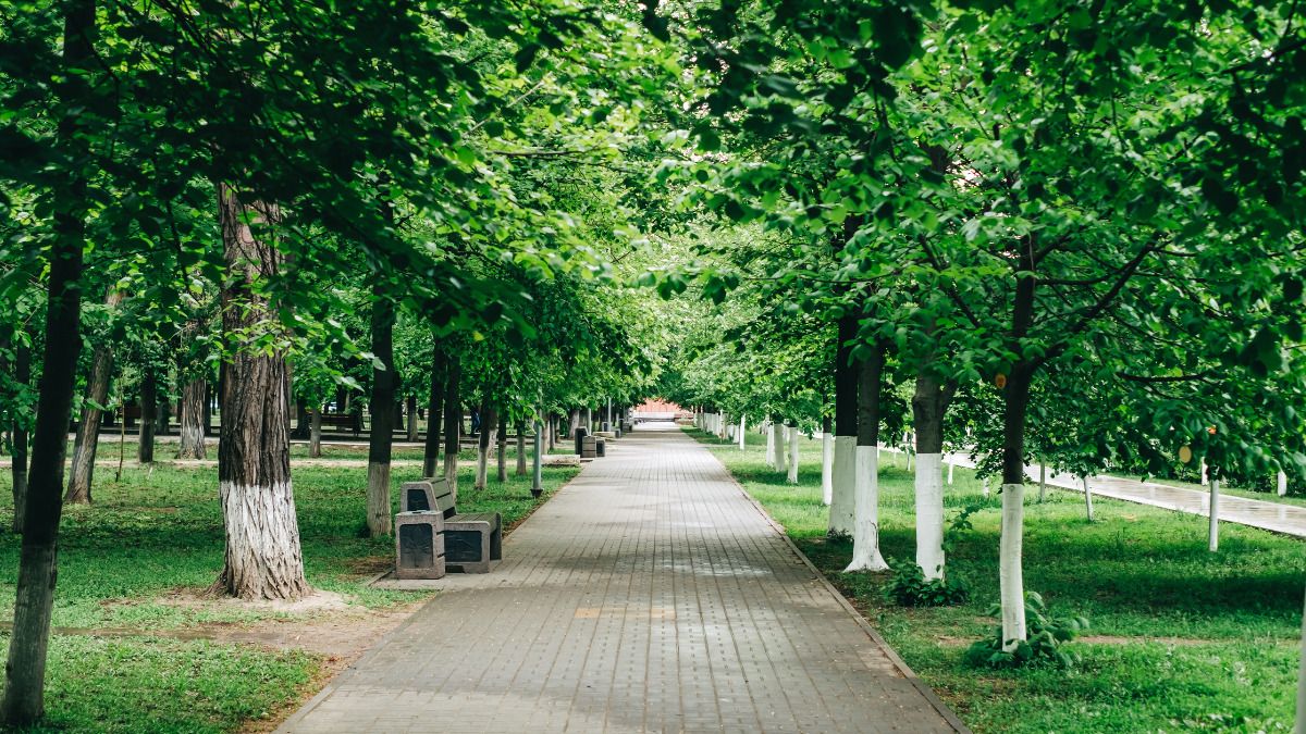 ¿Cómo serán las ciudades sostenibles?