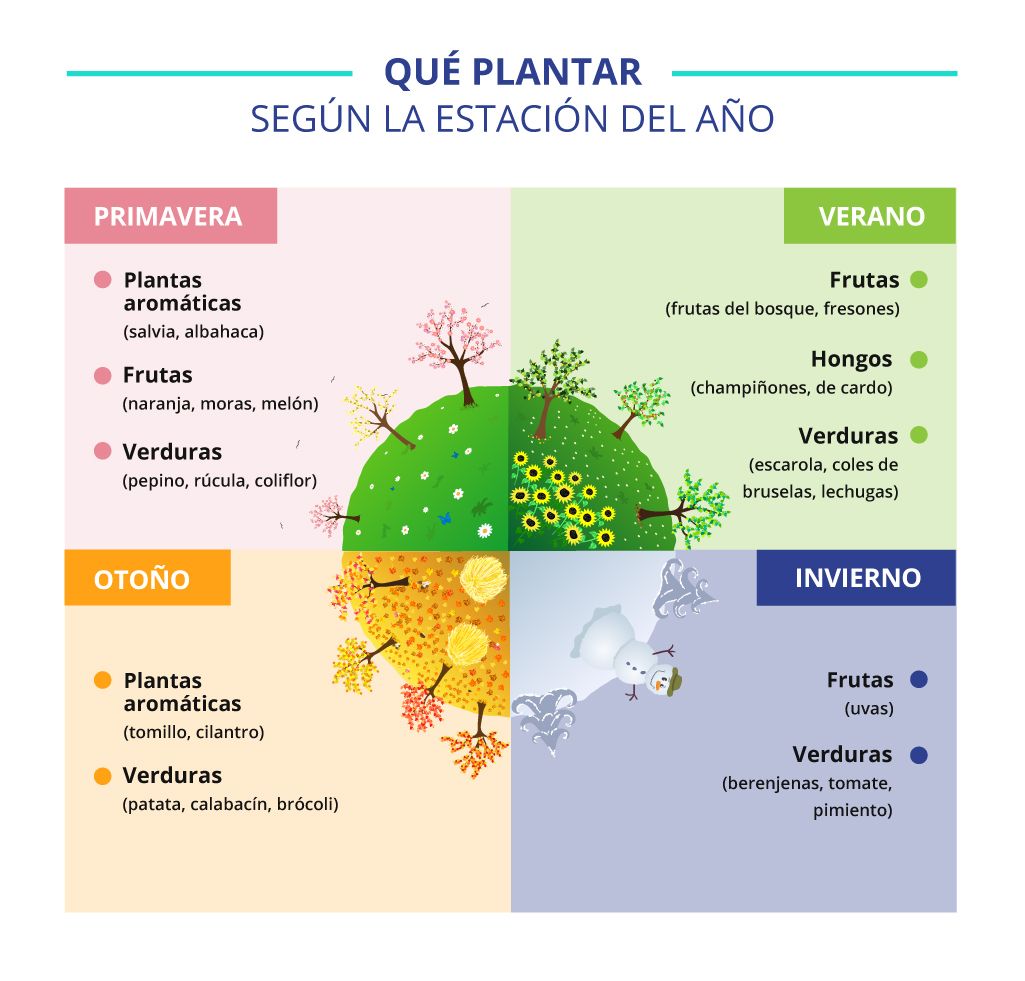 qué puedes plantar por estación