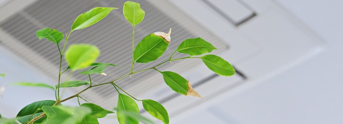 ¿Cómo son los edificios saludables? Control absoluto de la calidad del aire interior