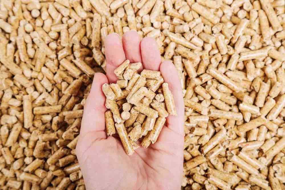 ¿Conoces las estufas de pellets? img121