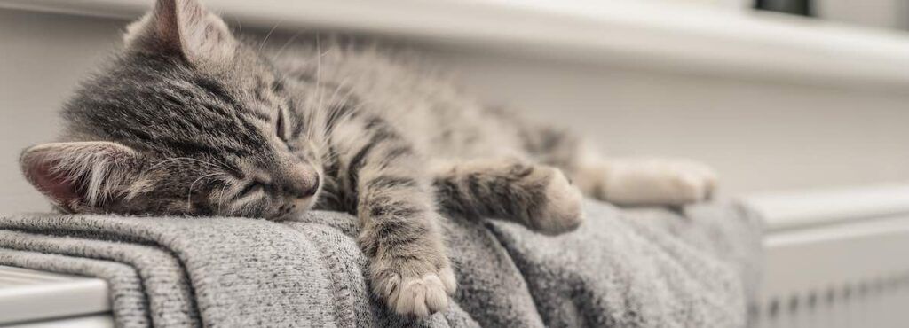 ¿Cuáles son los sistemas de calefacción más baratos para casa?