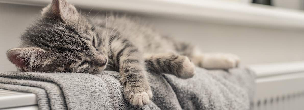 ¿Cuáles son los sistemas de calefacción más baratos para casa?