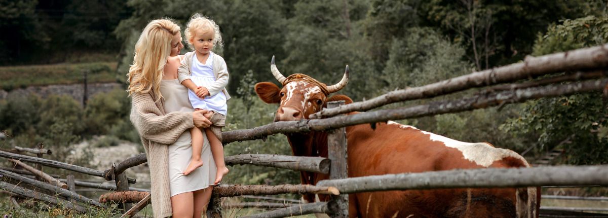 Qué tener en cuenta si quieres comprar una casa de pueblo en la España rural