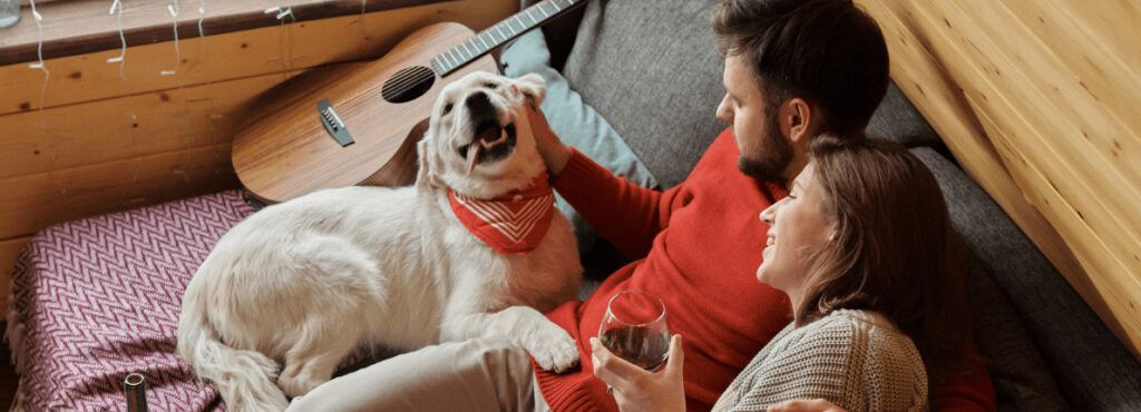 ¿Qué hacer si el perro del vecino no deja de ladrar?