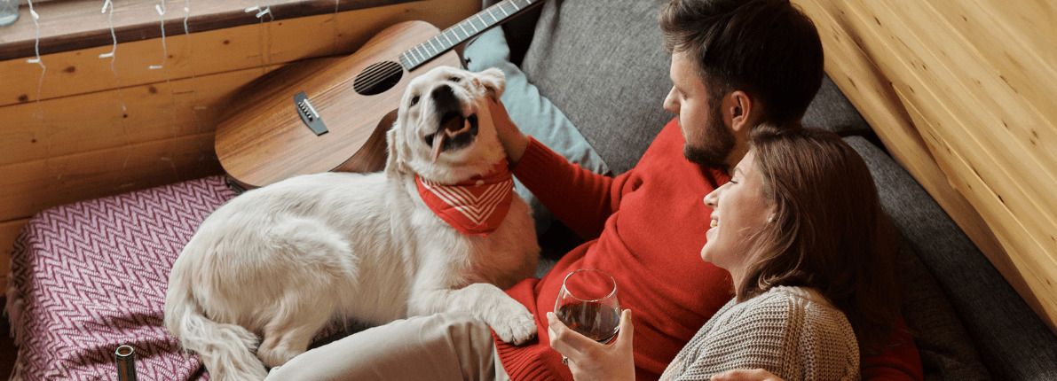 ¿Qué hacer si el perro del vecino no deja de ladrar?