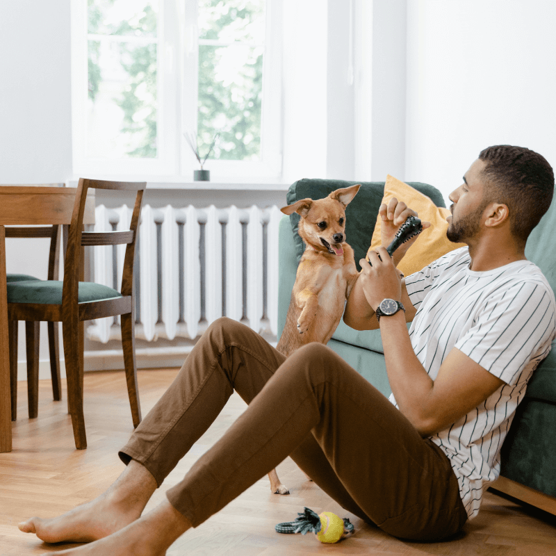 ladridos por estrés de la separación