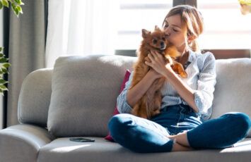 Consejos para que los perros con miedo a los ruidos no sufran durante las fiestas navideñas