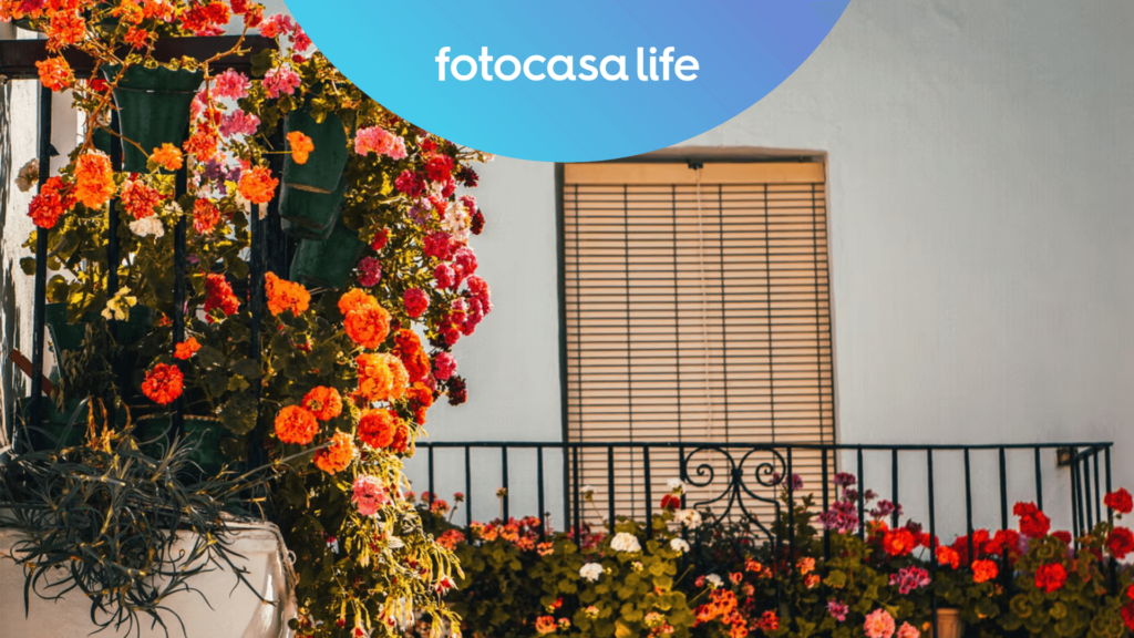 caracteristicas casas españolas