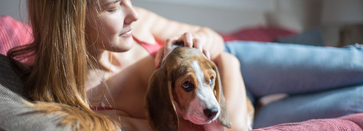 ¿Me pueden prohibir los estatutos de la comunidad tener un perro en mi piso en propiedad?