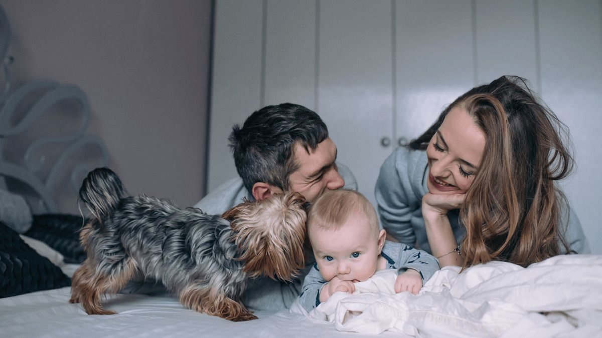 Las características de las casas que dan más felicidad a los españoles