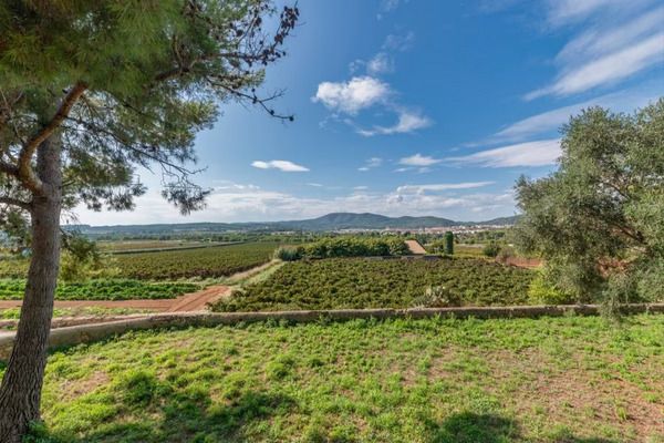 casa curiosa septiembre