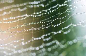 Cómo solucionar problemas de condensación en una vivienda