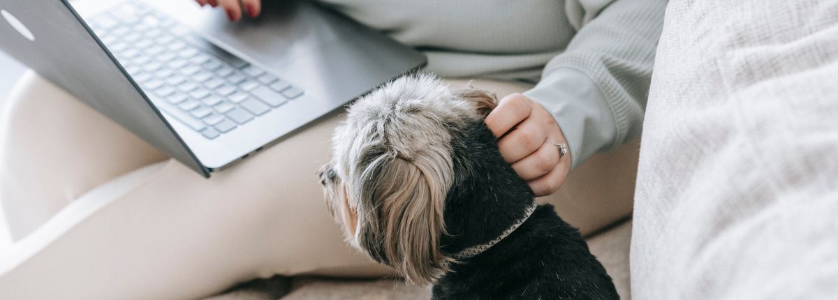 Los extranjeros teletrabajan en España: llega a nuestro país la visa para nómadas digitales