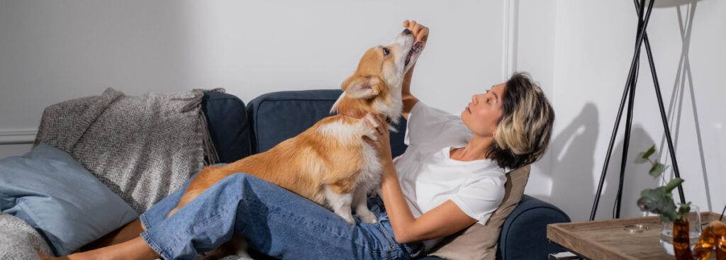 Solo un 4% de las viviendas en alquiler en España aceptan perros y gatos