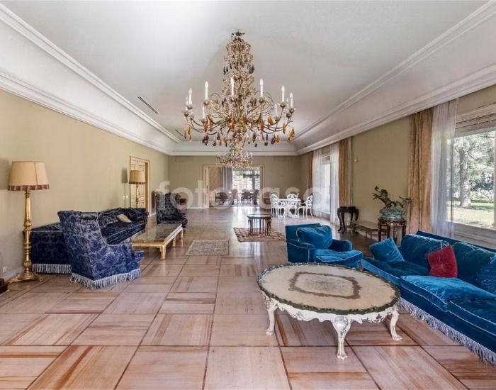 casa curiosa noviembre