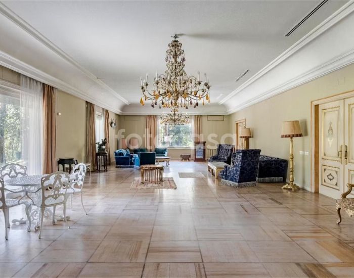 casa curiosa noviembre