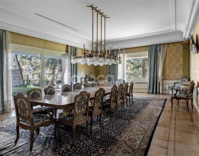 casa curiosa noviembre