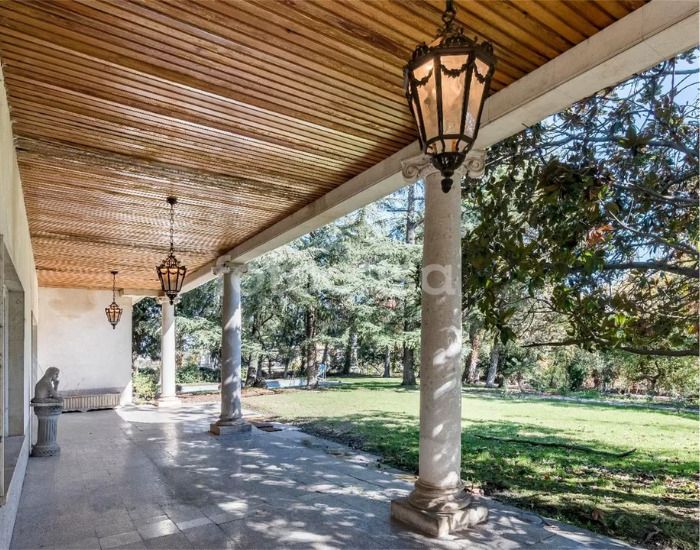 casa curiosa noviembre