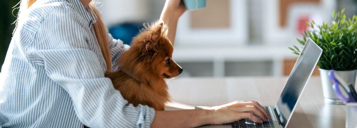 Cómo crear un despacho para teletrabajar en un piso pequeño