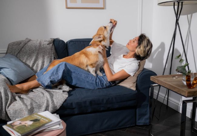 perros para pisos pequeños