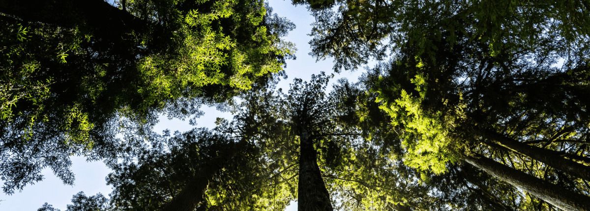 Las cumbre de la ONU COP27 finaliza con importantes mejoras respecto al cambio climático