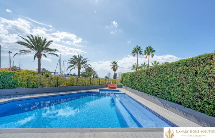 casa curiosa diciembre