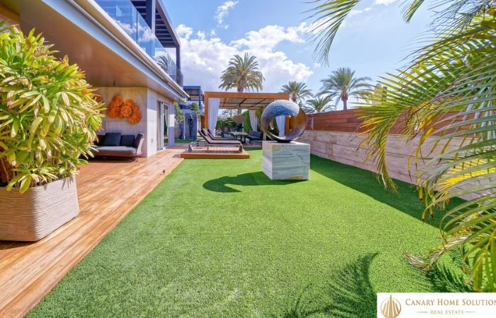 casa curiosa diciembre