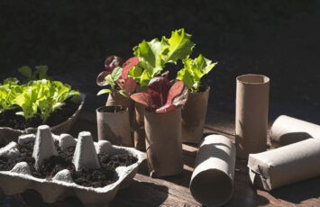 5 formas ingeniosas de reaprovechar residuos y botes en casa