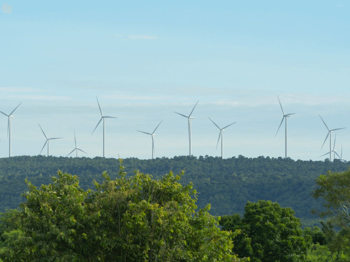 sector de la energía renovable en España