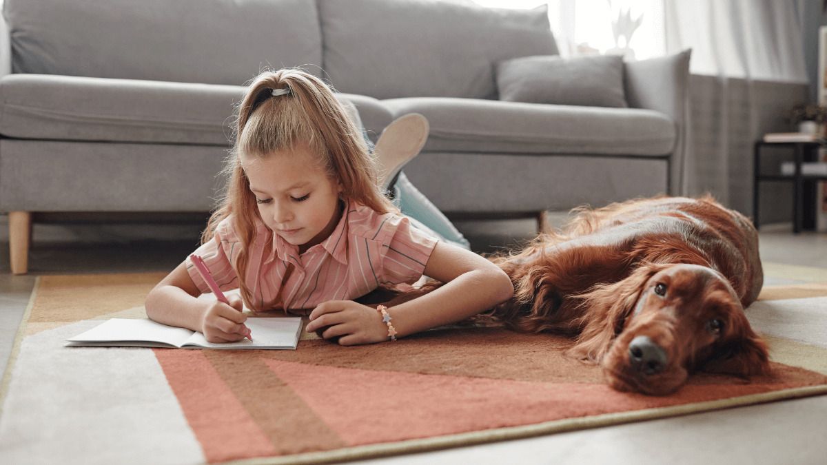 ¿Pueden echarme del piso de alquiler por tener un perro o un gato?