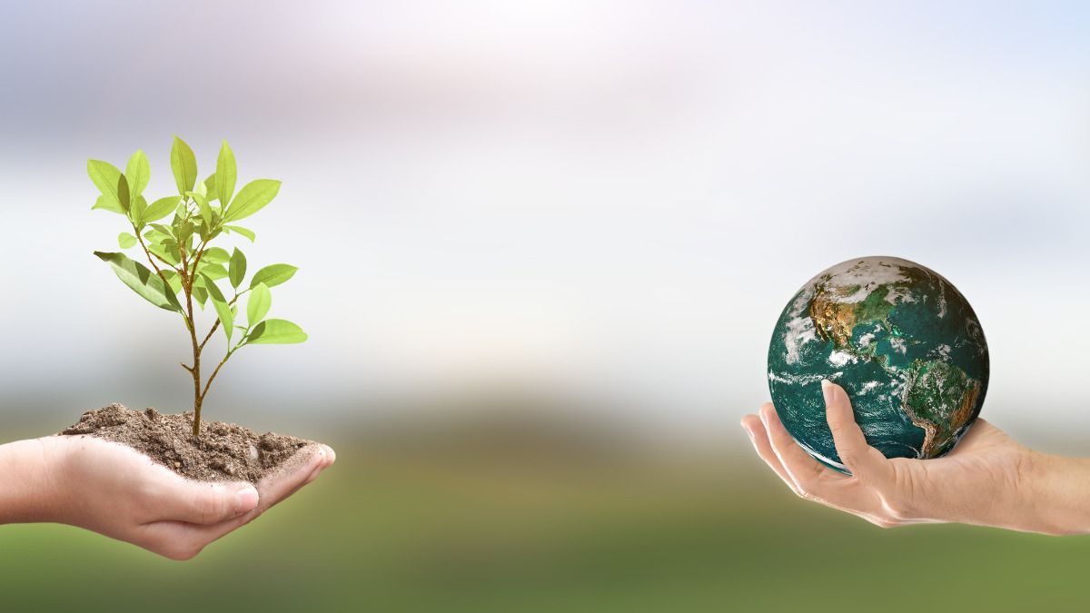 Barreras (y soluciones) para la “eco-revolución” de la reforma y la rehabilitación