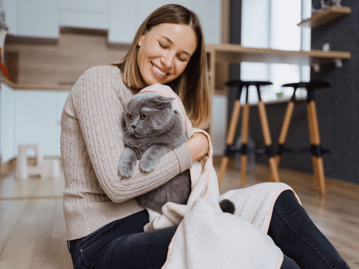 plantas toxicas para mascotas