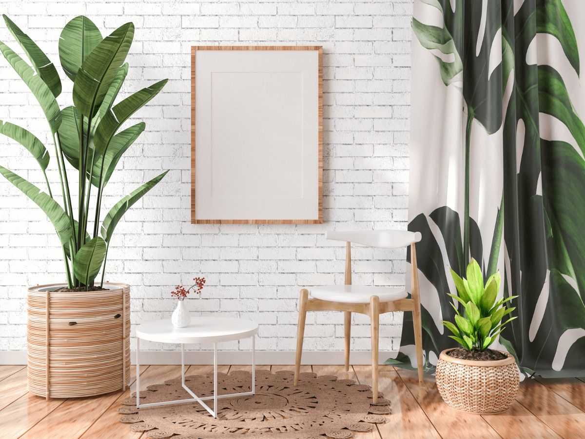 paneles decorativos vivienda